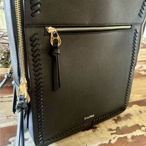 Calpak Black Backpack